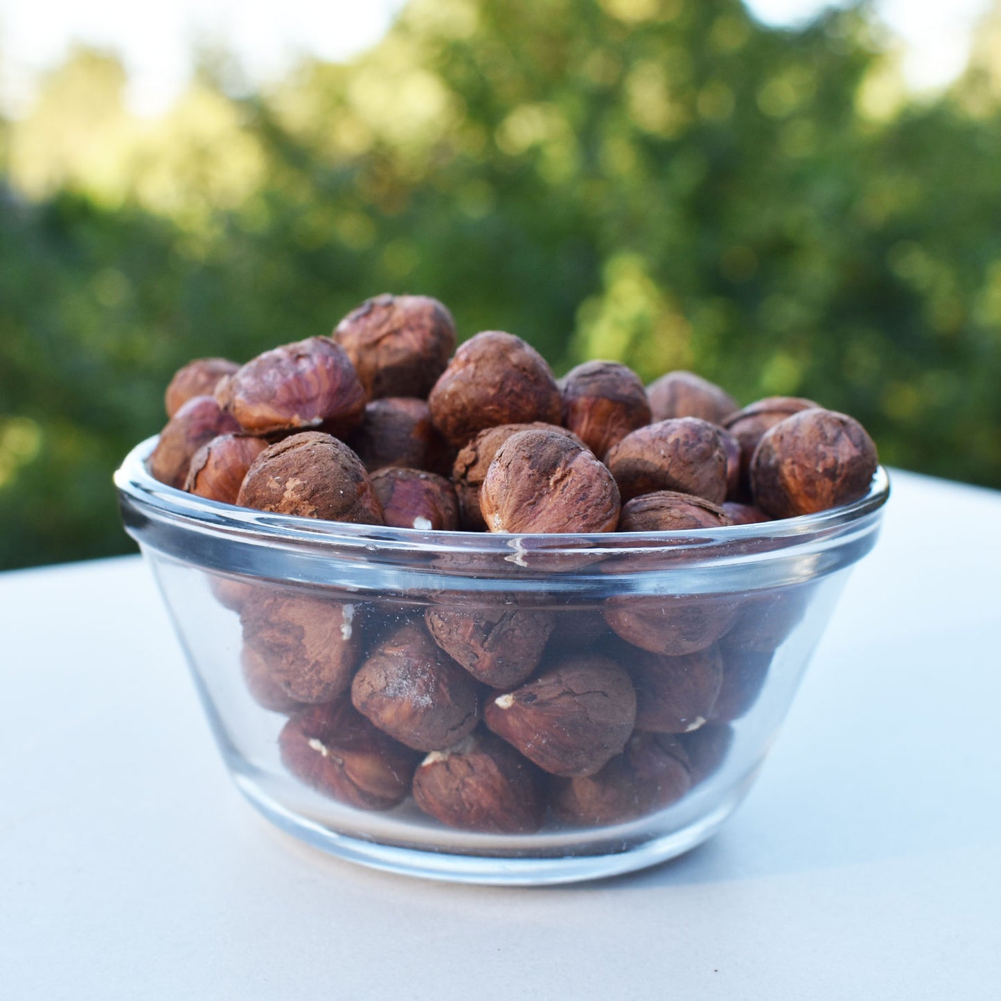 Oregon Organic Hazelnuts