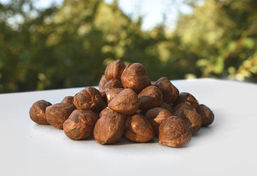 Oregon Organic Hazelnuts